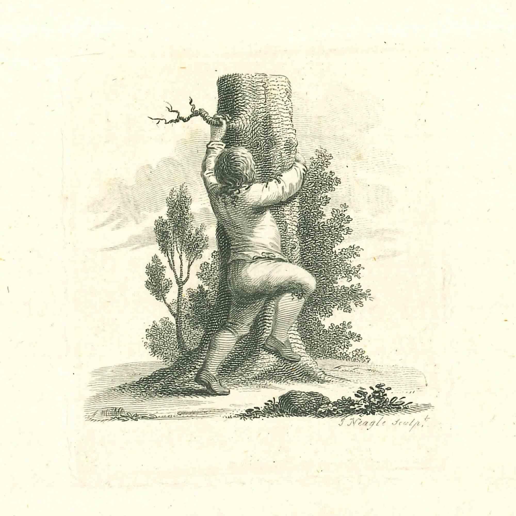 Ein Junge klettert auf einen Baum  ist eine Originalvorlage von James Neagle für Johann Caspar Lavaters "Essays on Physiognomy, Designed to promote the Knowledge and the Love of Mankind", London, Bensley, 1810. 

Dieses Kunstwerk porträtiert einen