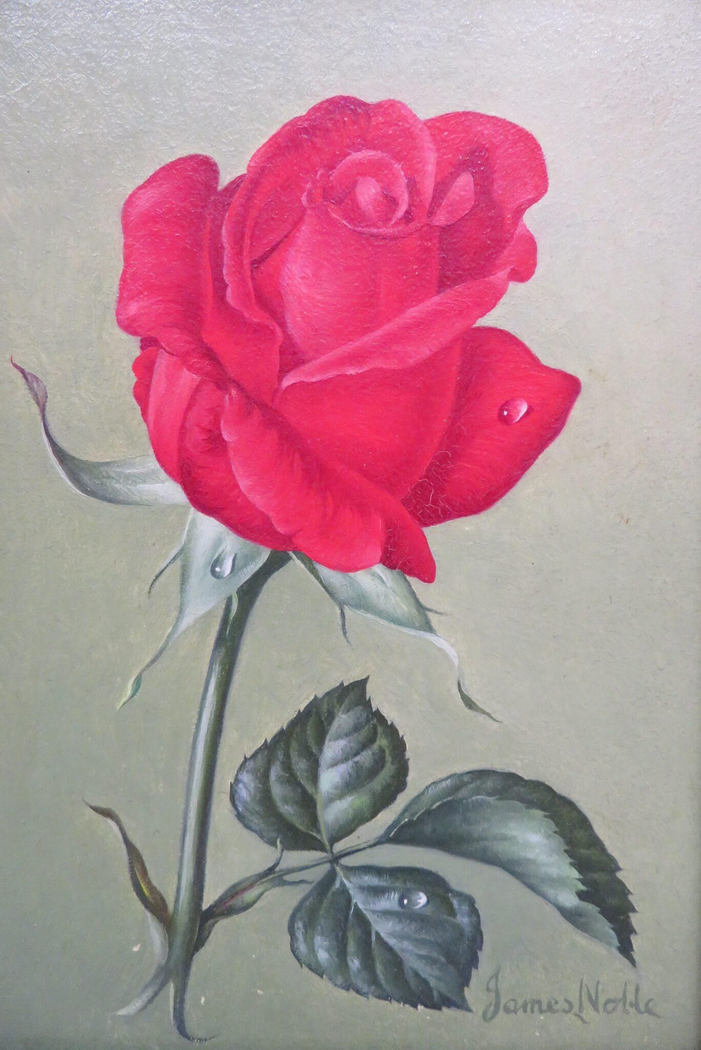 Peinture à l'huile anglaise réaliste originale, natures mortes et roses - Une paire - Réalisme Painting par James Noble