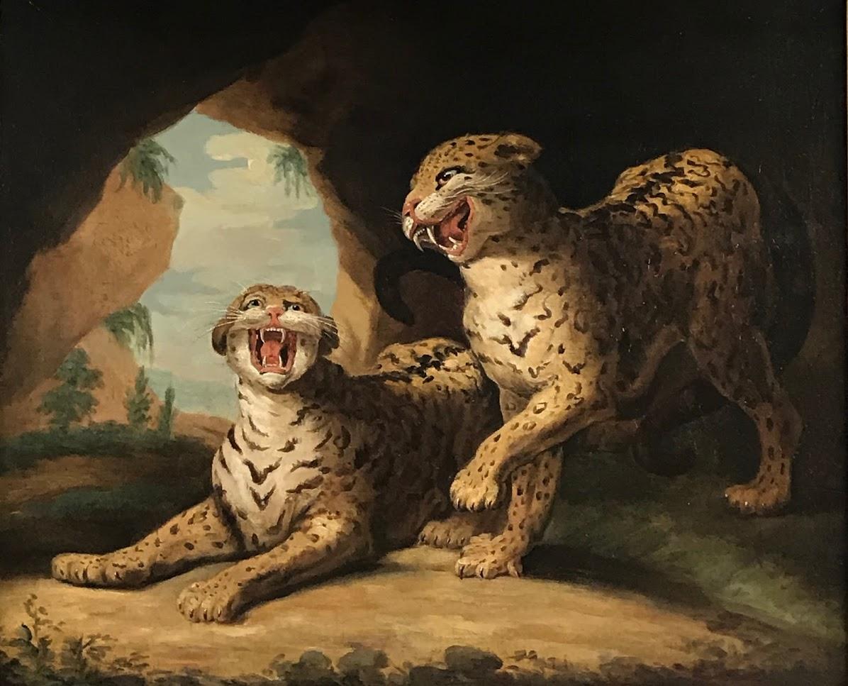 18th Century Rare Oil Painting of Two Leopards at Play from The Royal Menagerie - Brown Animal Painting by James Northcote b.1746