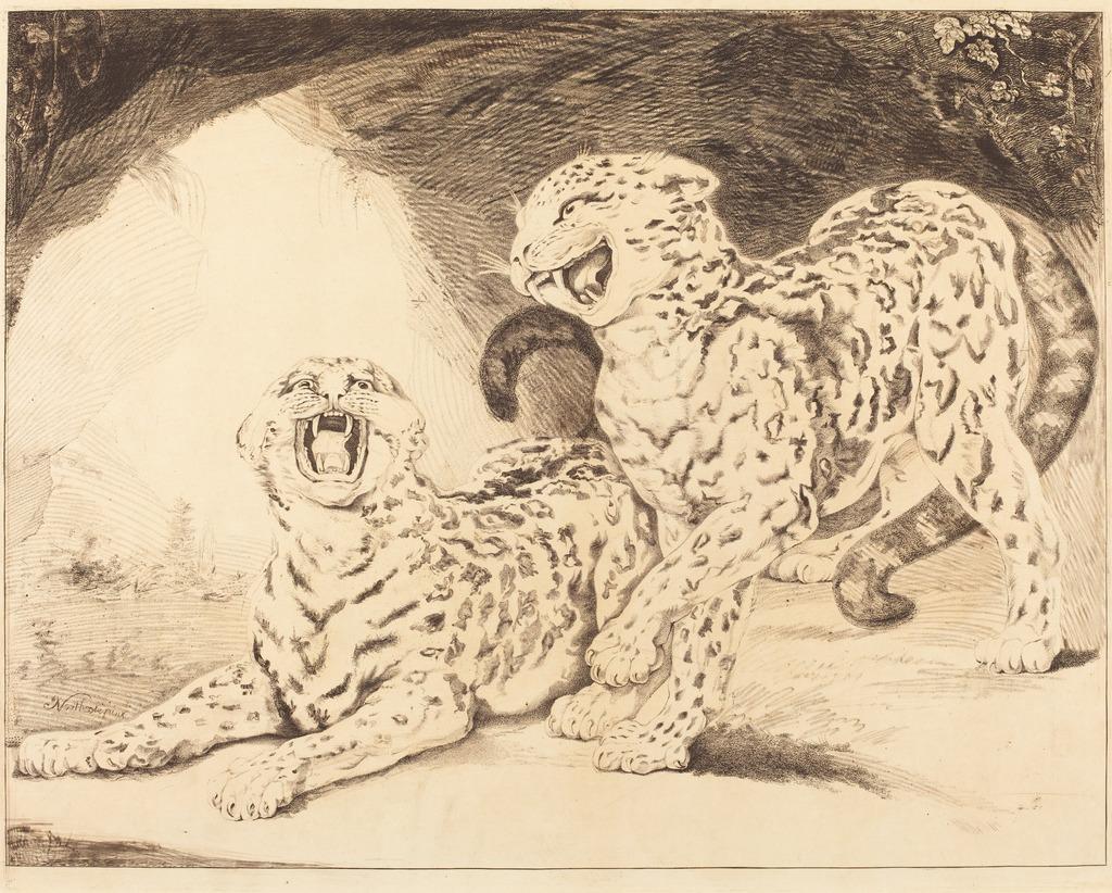 18th Century Rare Oil Painting of Two Leopards at Play from The Royal Menagerie 1