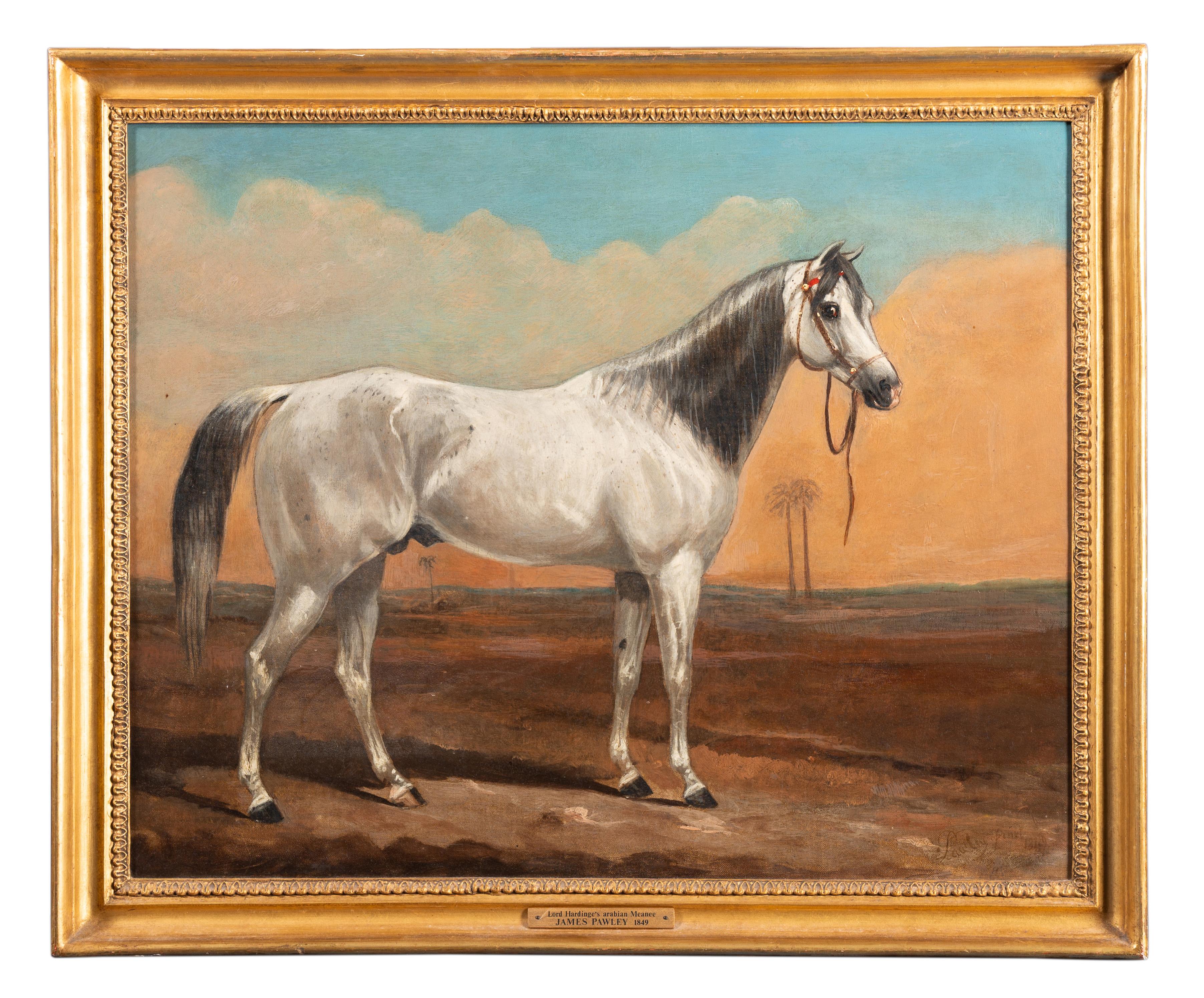 Lord Hardinge's arabischer Hengst „Meanee“, in einer Wüstenlandschaft