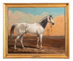Lord Hardinge's arabischer Hengst „Meanee“, in einer Wüstenlandschaft