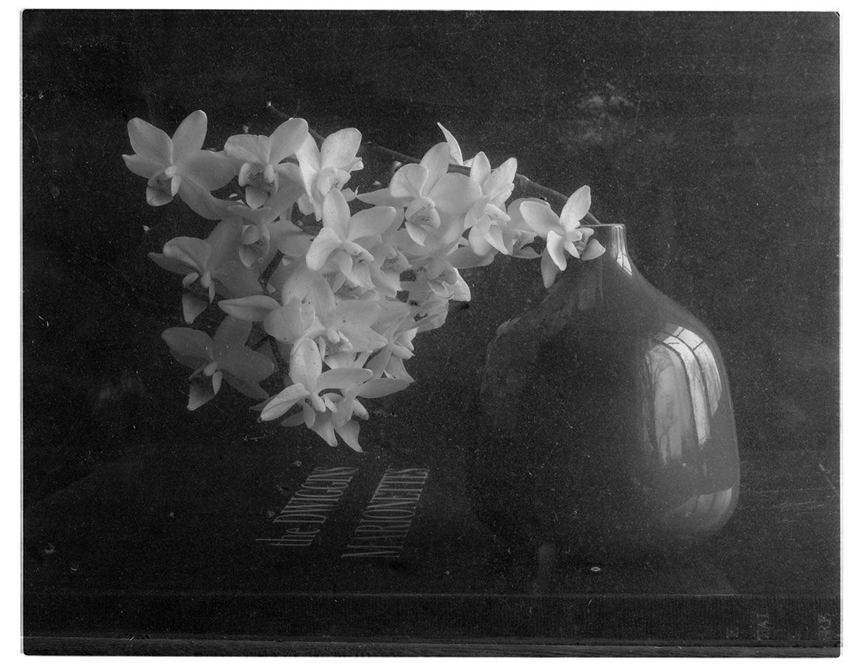 James Pitts Black and White Photograph - Bunch of Orchids in Red Japanese Vase Through Window