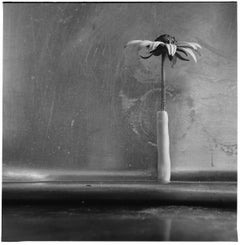 Fleur de type marguerite dans un fin tube, bord droit sculpté verticalement du cadre 