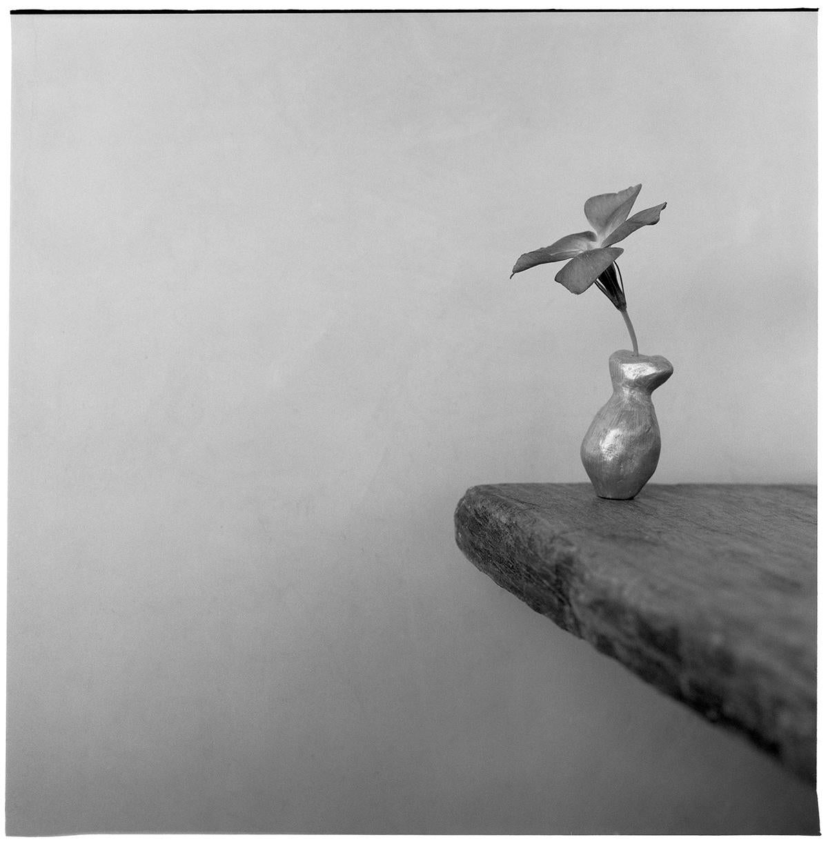 James Pitts Black and White Photograph –  Blumenblume Gold Skulpturale Kante des Tisches 