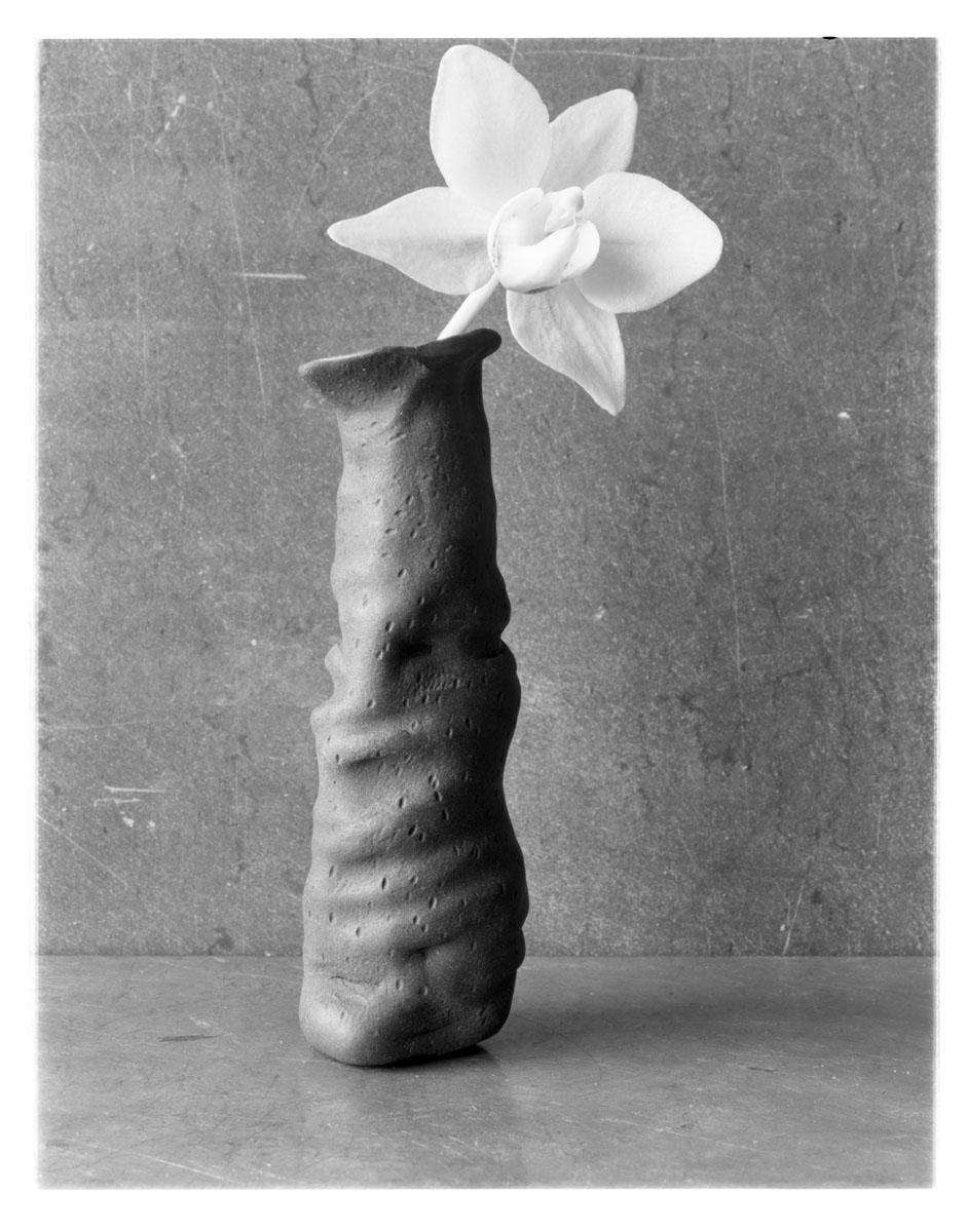 James Pitts Still-Life Photograph – Orchidee in schwarzem Skulpturpey, Kunstfotografie, Stillleben