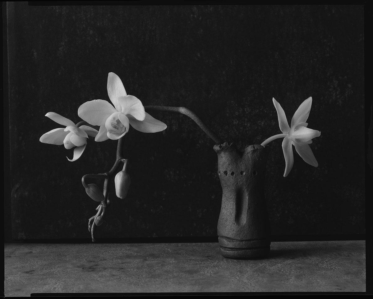 James Pitts Black and White Photograph – Drei weiße Orchideen in Melissas schwarzer Vase, Fine Art Photography, Stillleben