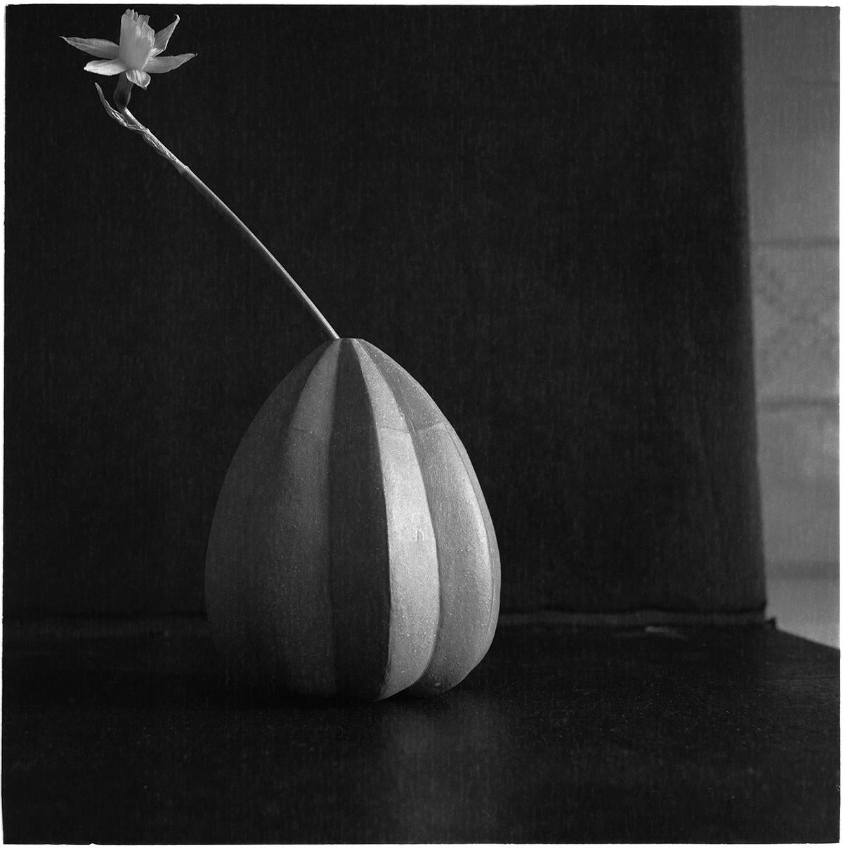 James Pitts Black and White Photograph - Tiny Daffodyl in Green Japanese Squash Vase 