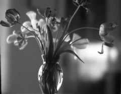 Tulips in Granny's Green Vase Soft