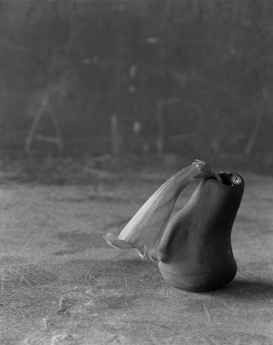 James Pitts Black and White Photograph - Very Tiny Folder over Wildflower in Black Teardrop Sculpey 