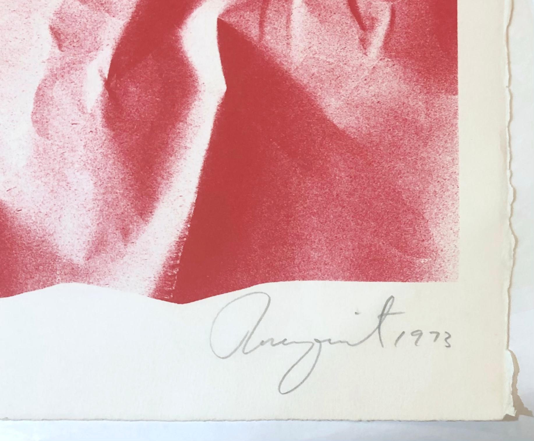 Flame out for Pablo collage by James Rosenquist Picasso For Sale 2