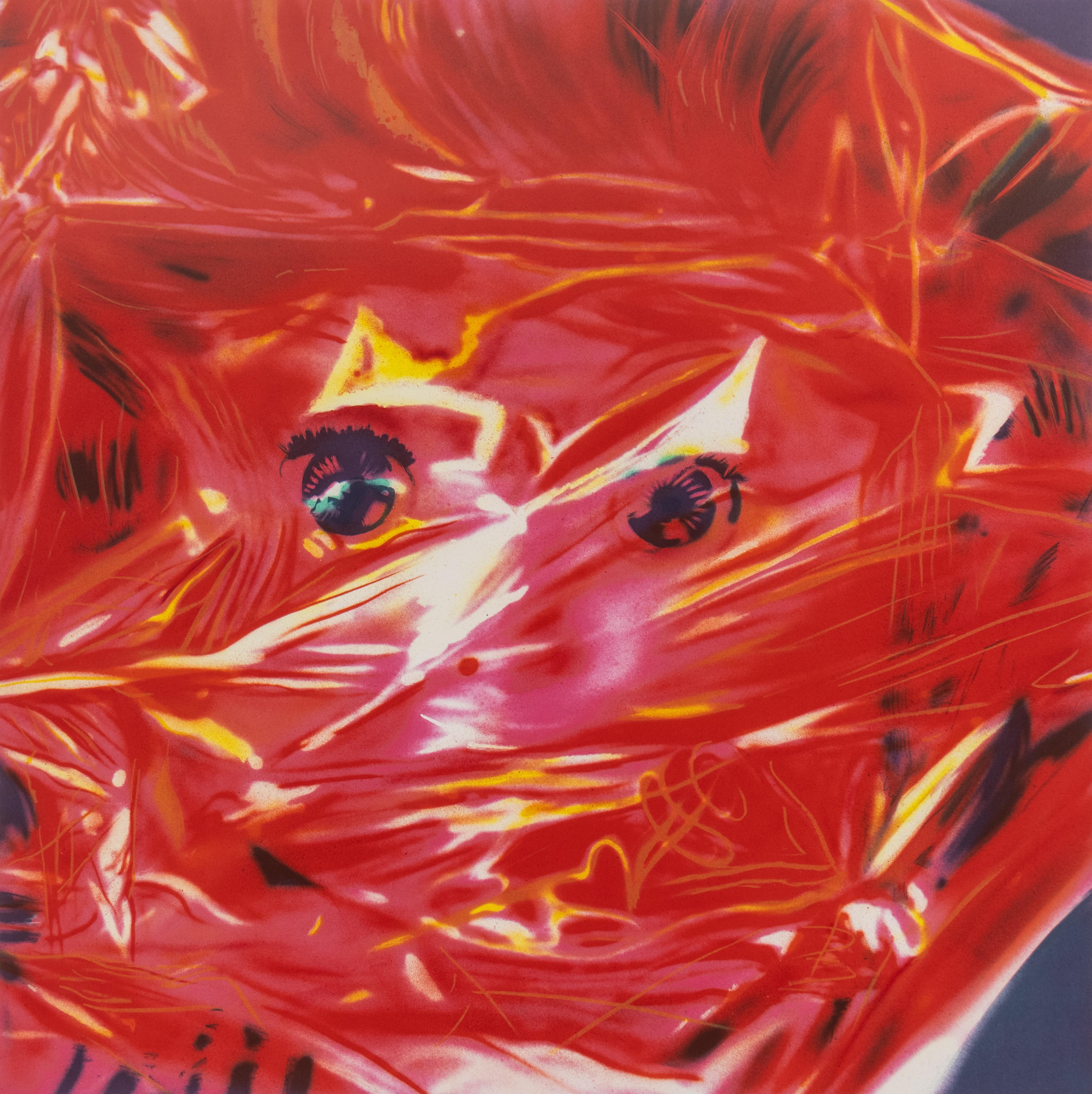 Gift Wrapped Doll - Photograph by James Rosenquist