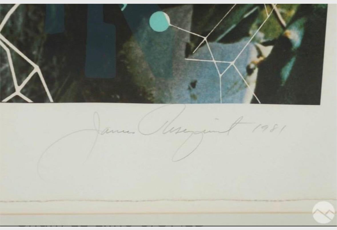 James Rosenquist “Ai-Cham” Lithograph SIGNED and numbered. In good condition measures 43x41