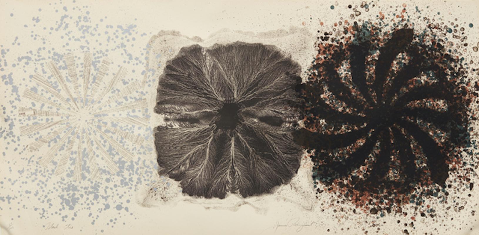 James Rosenquist Abstract Print - Black Tie