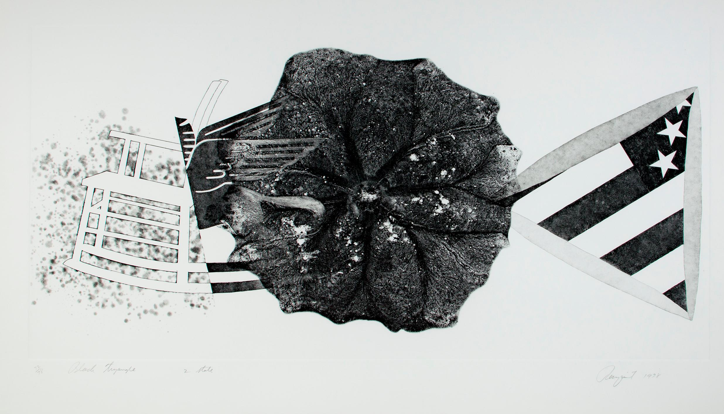 "Black Triangle" est une gravure originale en noir de l'artiste pop James Rosenquist. L'artiste a signé l'œuvre en bas à droite, a écrit le titre et le numéro d'édition (72/78) en bas à gauche, et "2nd State" en bas au centre. Cette pièce fait