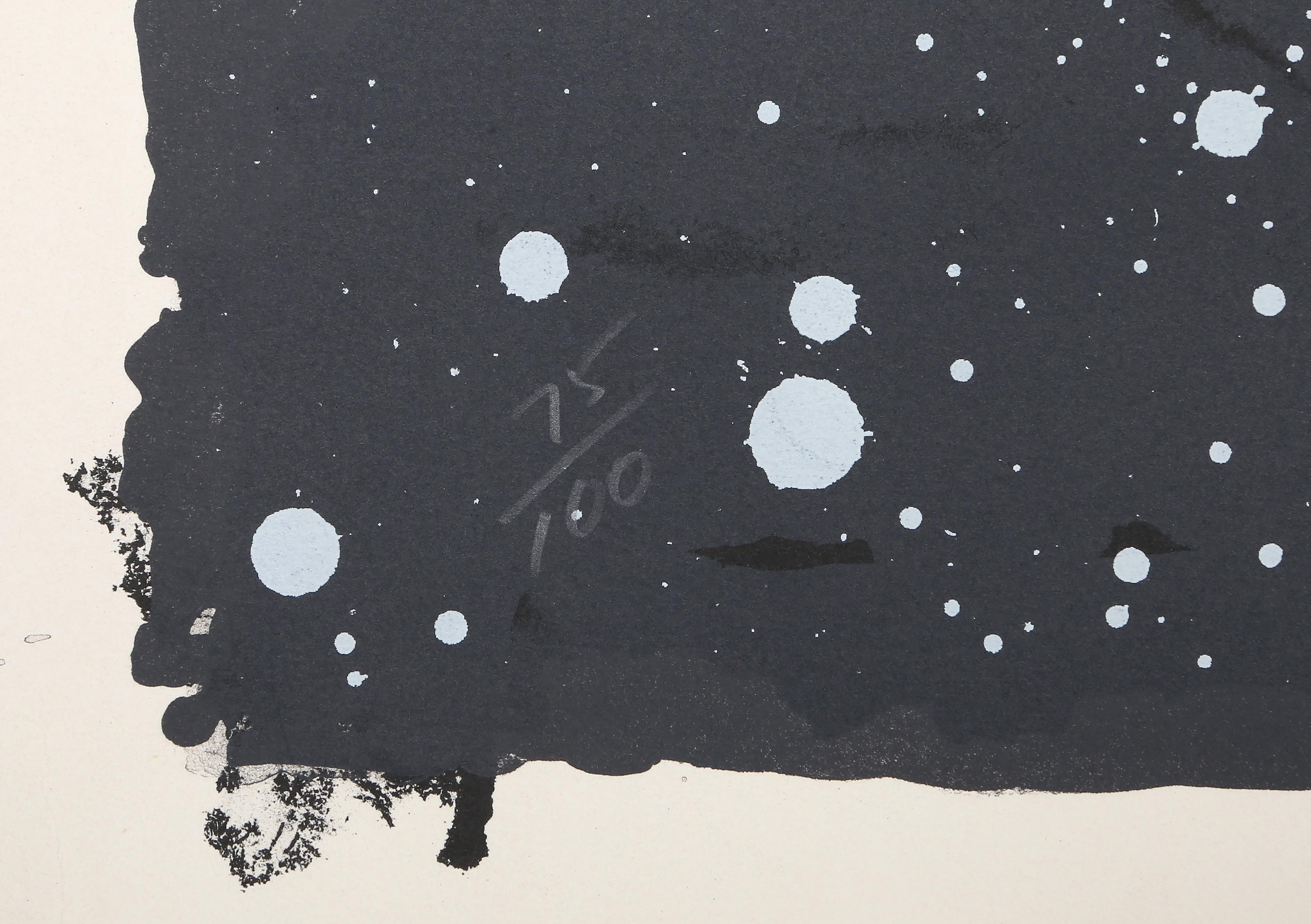 Coin Noir, Large Pop Abstract by James Rosenquist For Sale 2