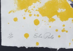 Echo Pale, from Mirrors Of The Mind portfolio