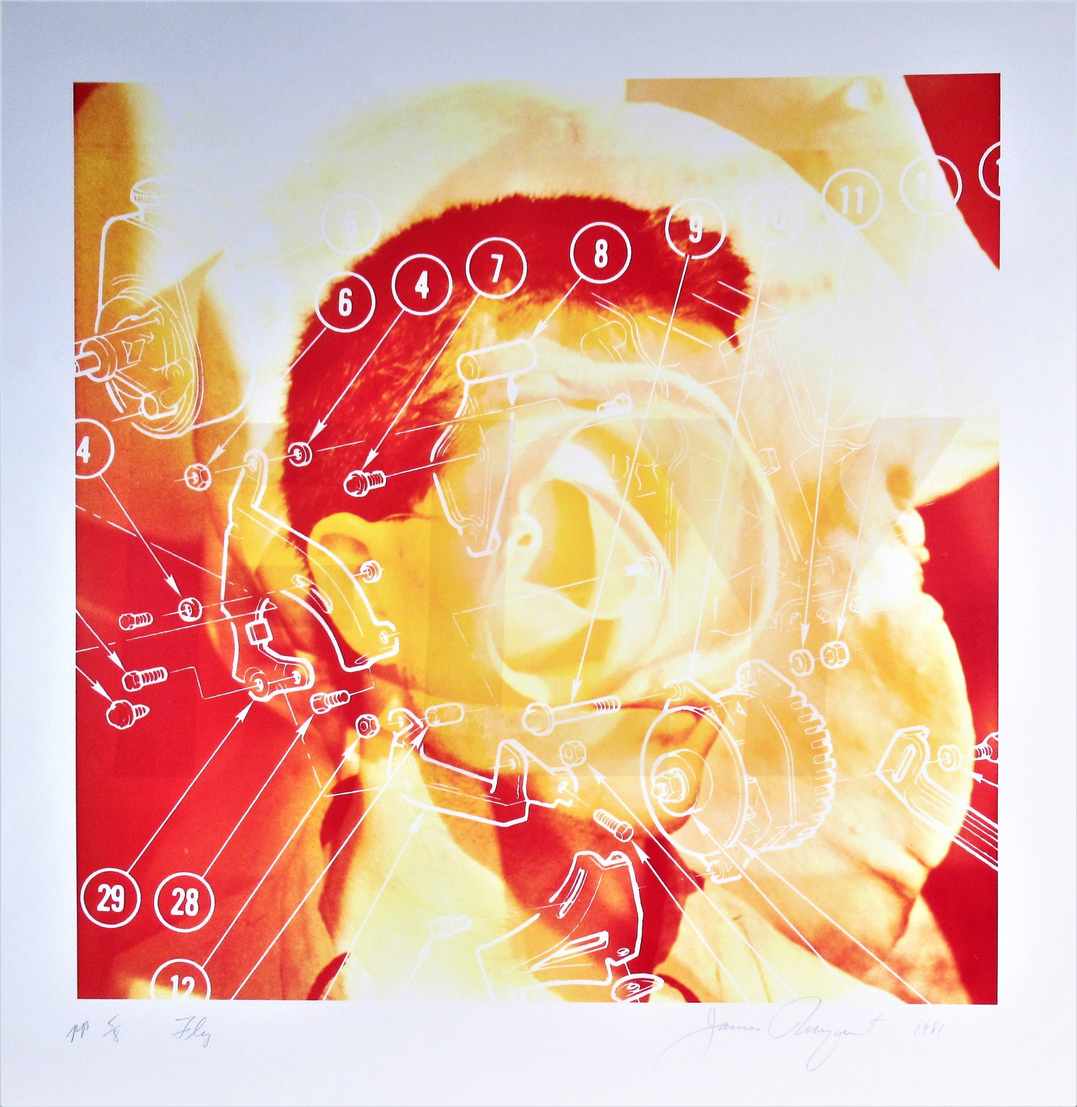 James Rosenquist Abstract Print - Fly