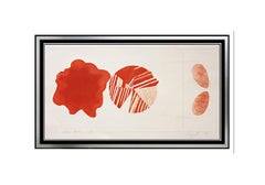 James ROSENQUIST Aquatint Original HAND SIGNED Abstract Art Federal Spending