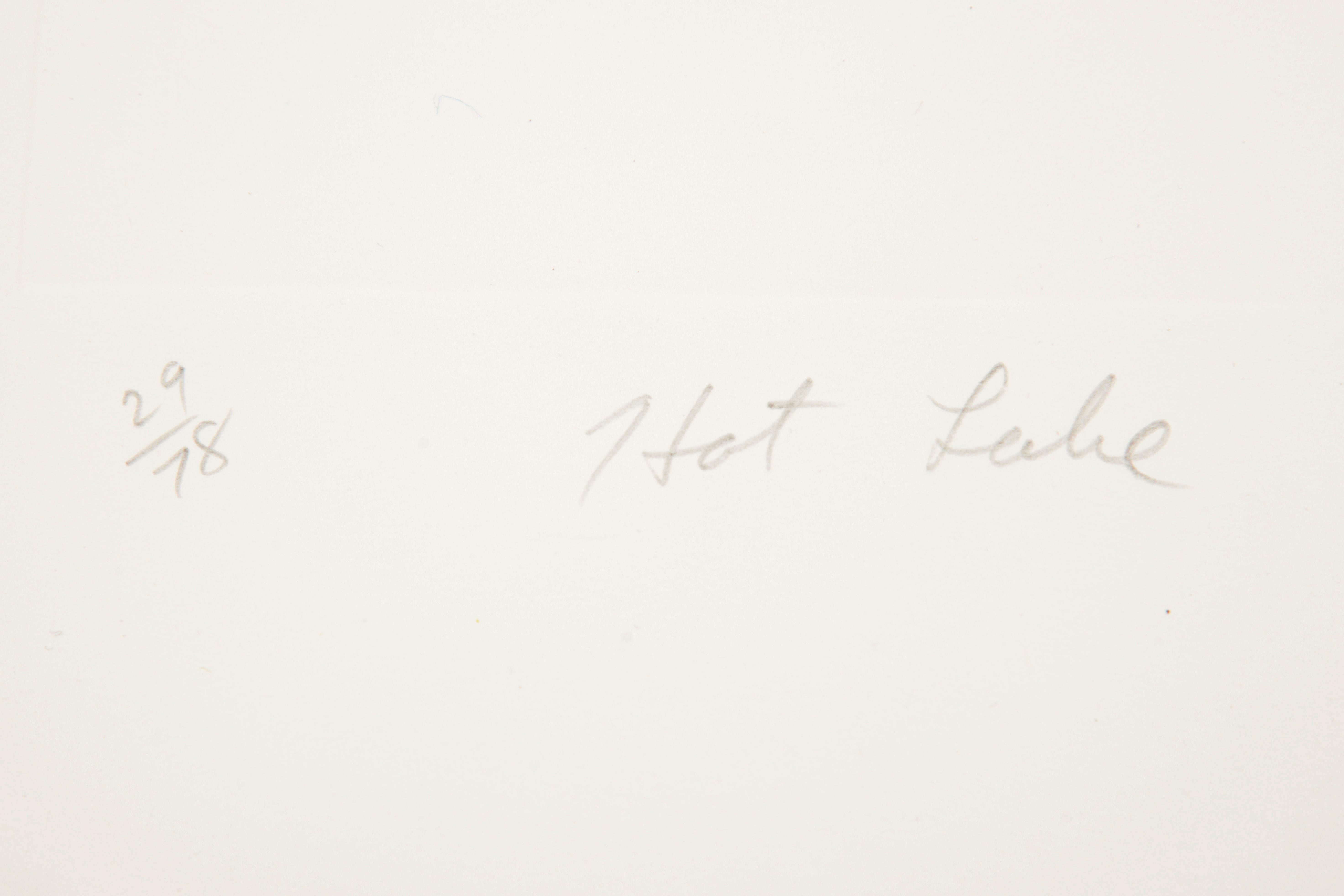 James Rosenquist HOT LAKE (2ND STATE) Etching / Aquatint, 39