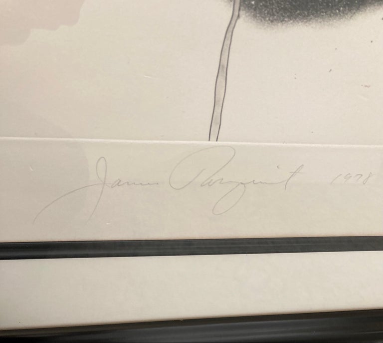 James Rosenquist 'Star Proctor' Signed, Limited Edition Print For Sale 3