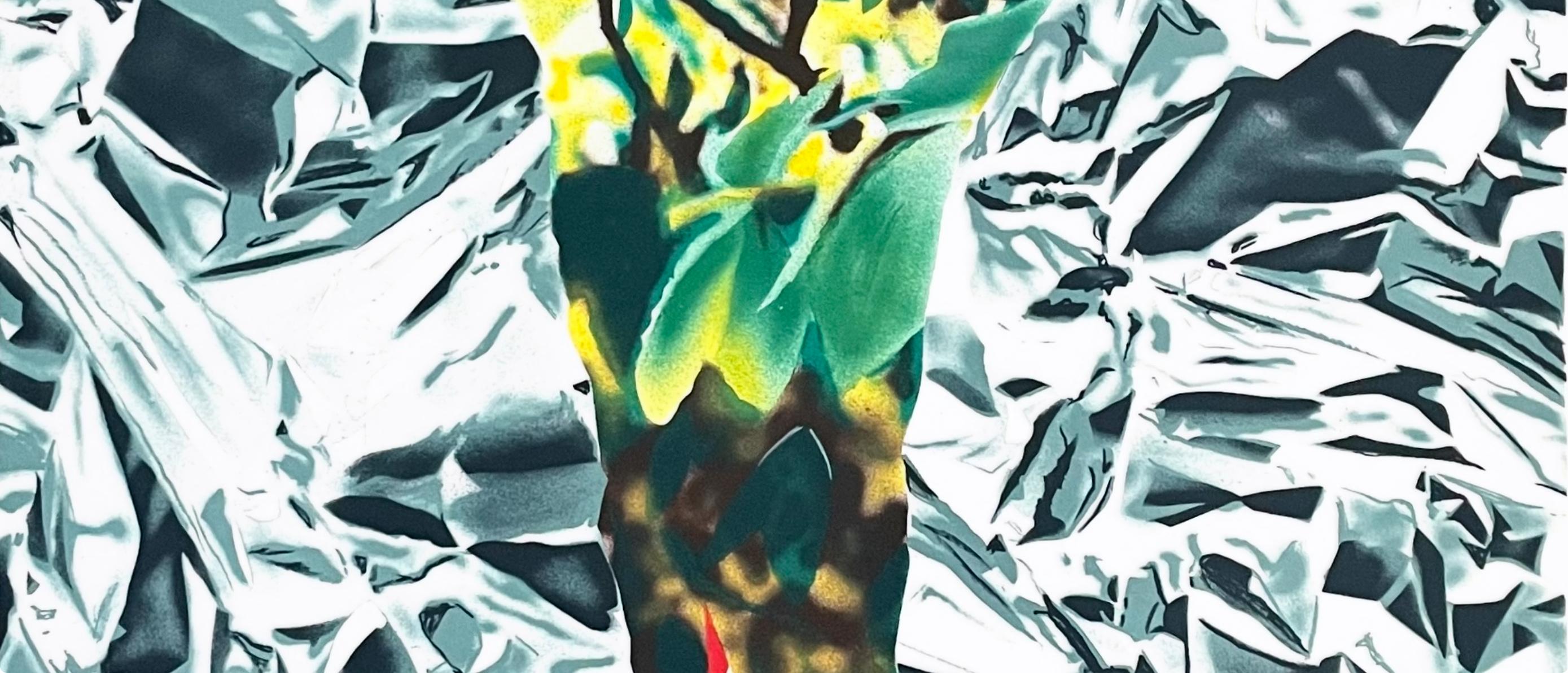 Katonah Muse, James Rosenquist For Sale 2