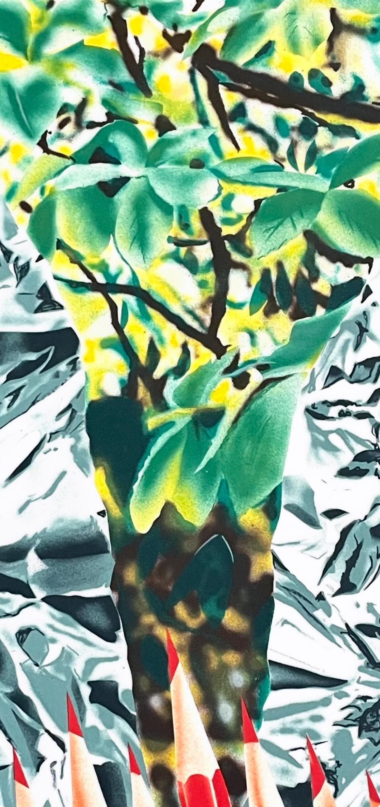 Katonah Muse, James Rosenquist For Sale 3