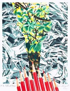 Katonah Muse, James Rosenquist
