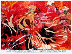 Pearls Before Swine, Flowers Before Flames By James Rosenquist