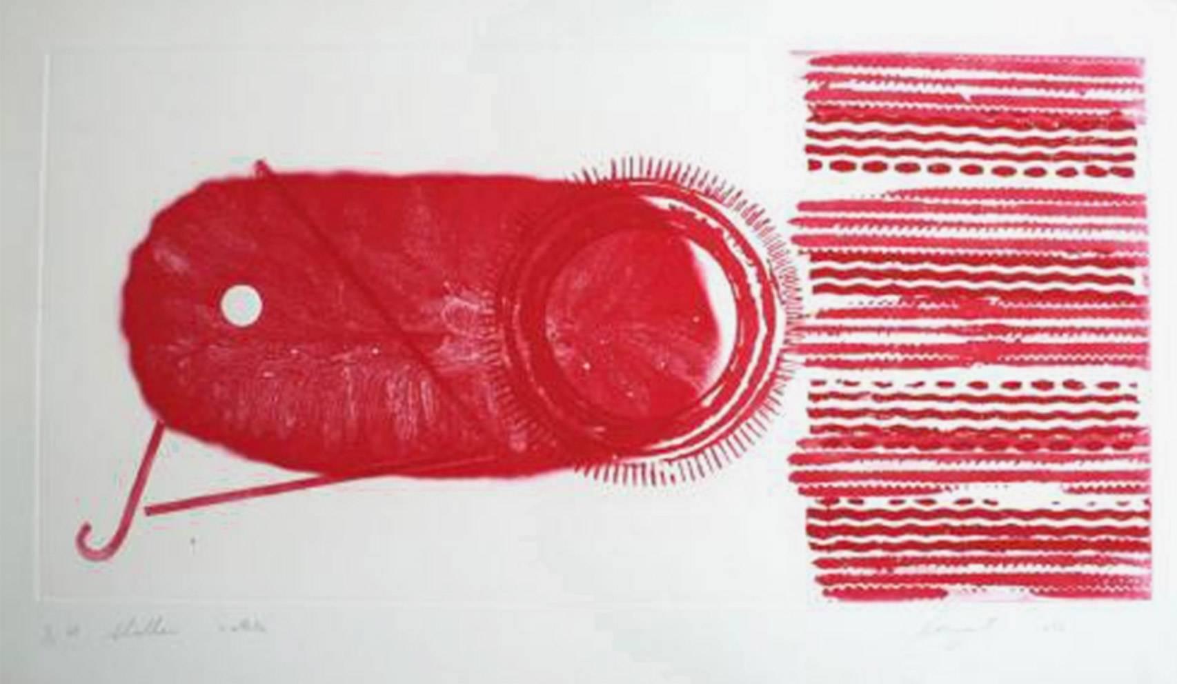 Shallows: 2 State - Print by James Rosenquist