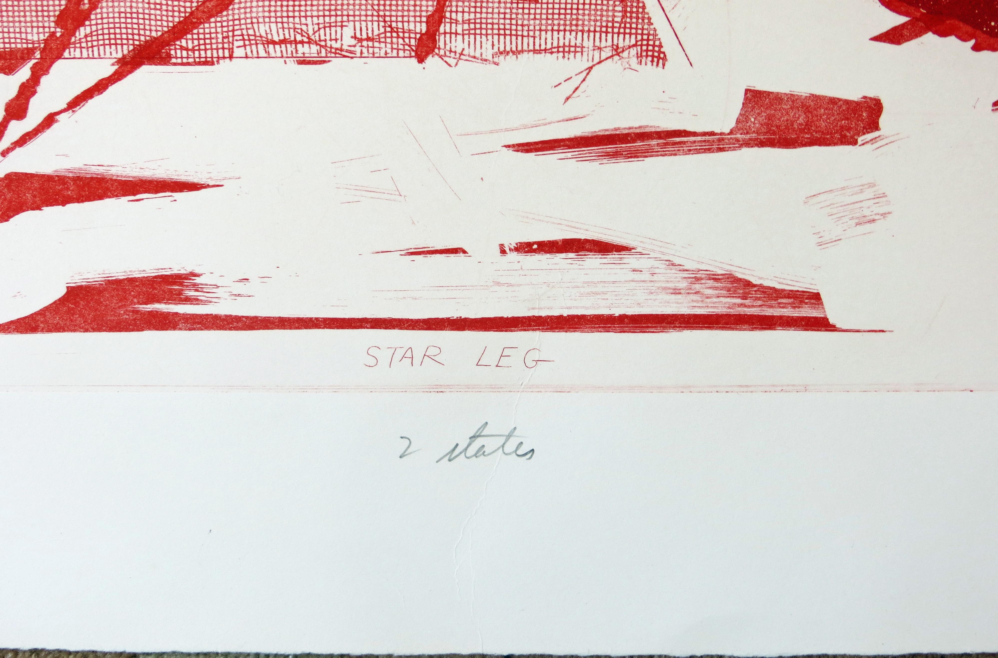 Star Leg (2. State) (Grau), Abstract Print, von James Rosenquist