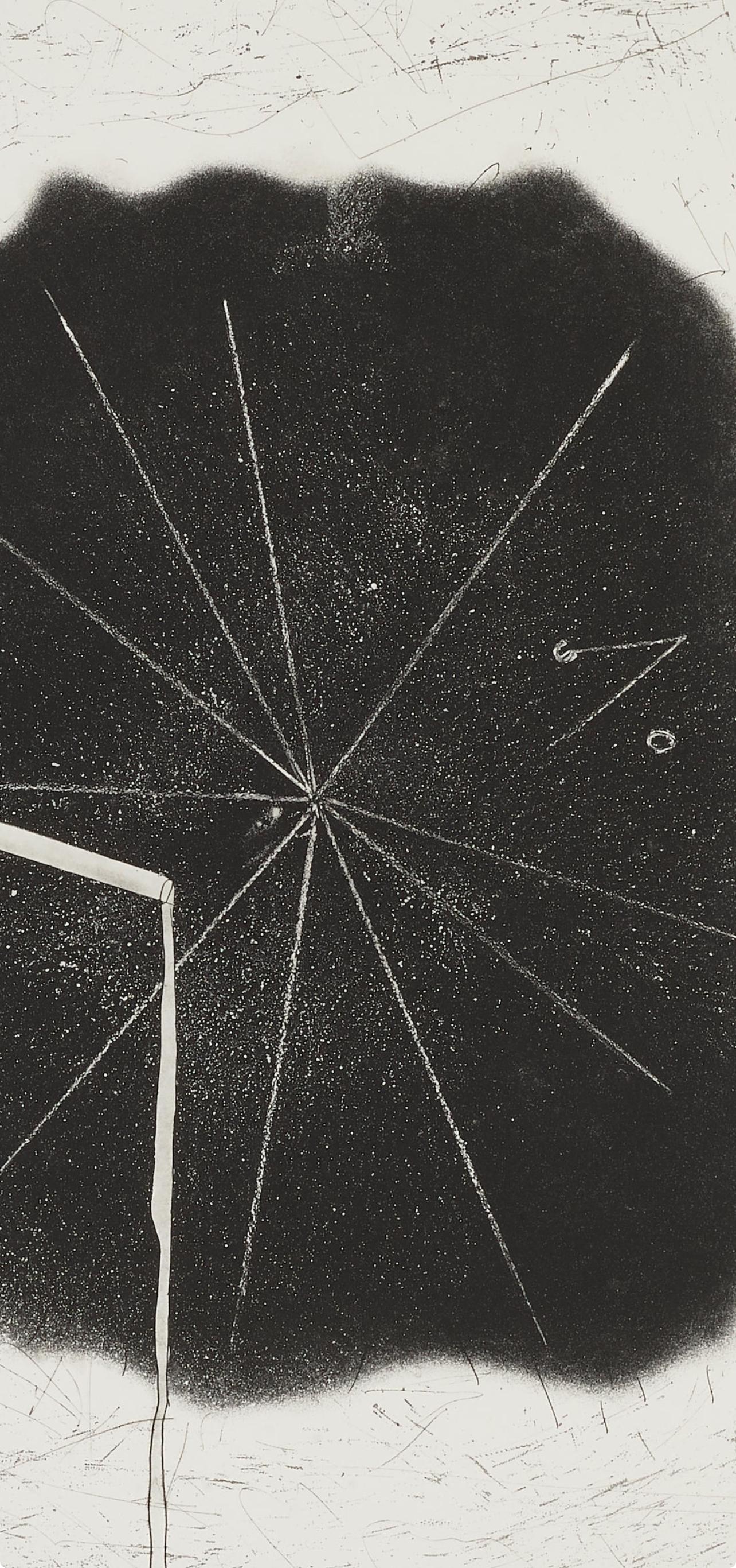Estrella Proctor, Estado II (Glenn 130) - Still-Life Print Gris de James Rosenquist