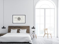 „Sunglass Lens - Landnetz - Dreieck“ von James Rosenquist