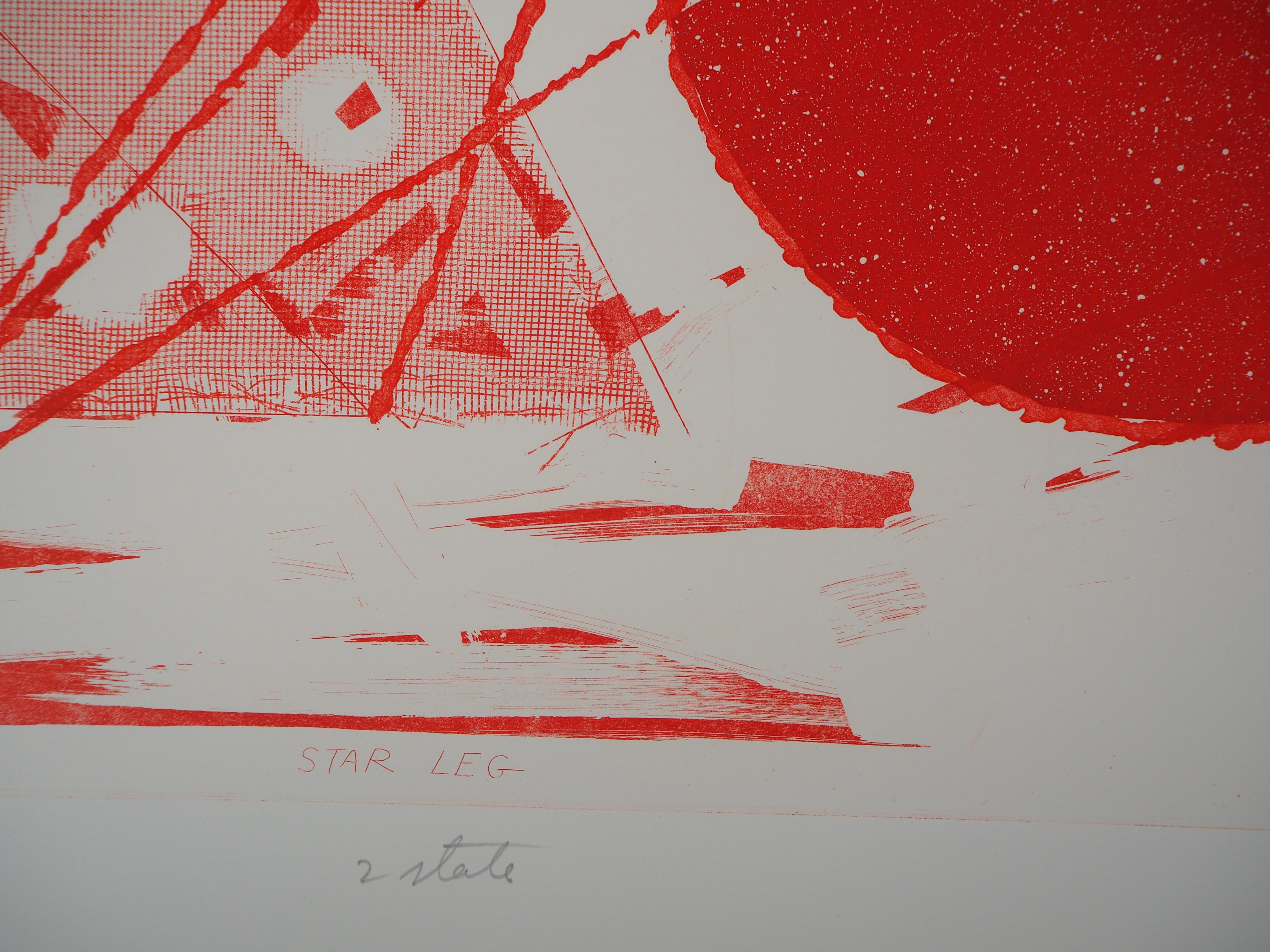 Symbols, Star Leg - Original Etching and Aquatint, Handsigned  - Gray Abstract Print by James Rosenquist