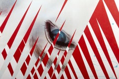 XIV Giochi Olimpici Invernali, Poster Pop Art di James Rosenquist