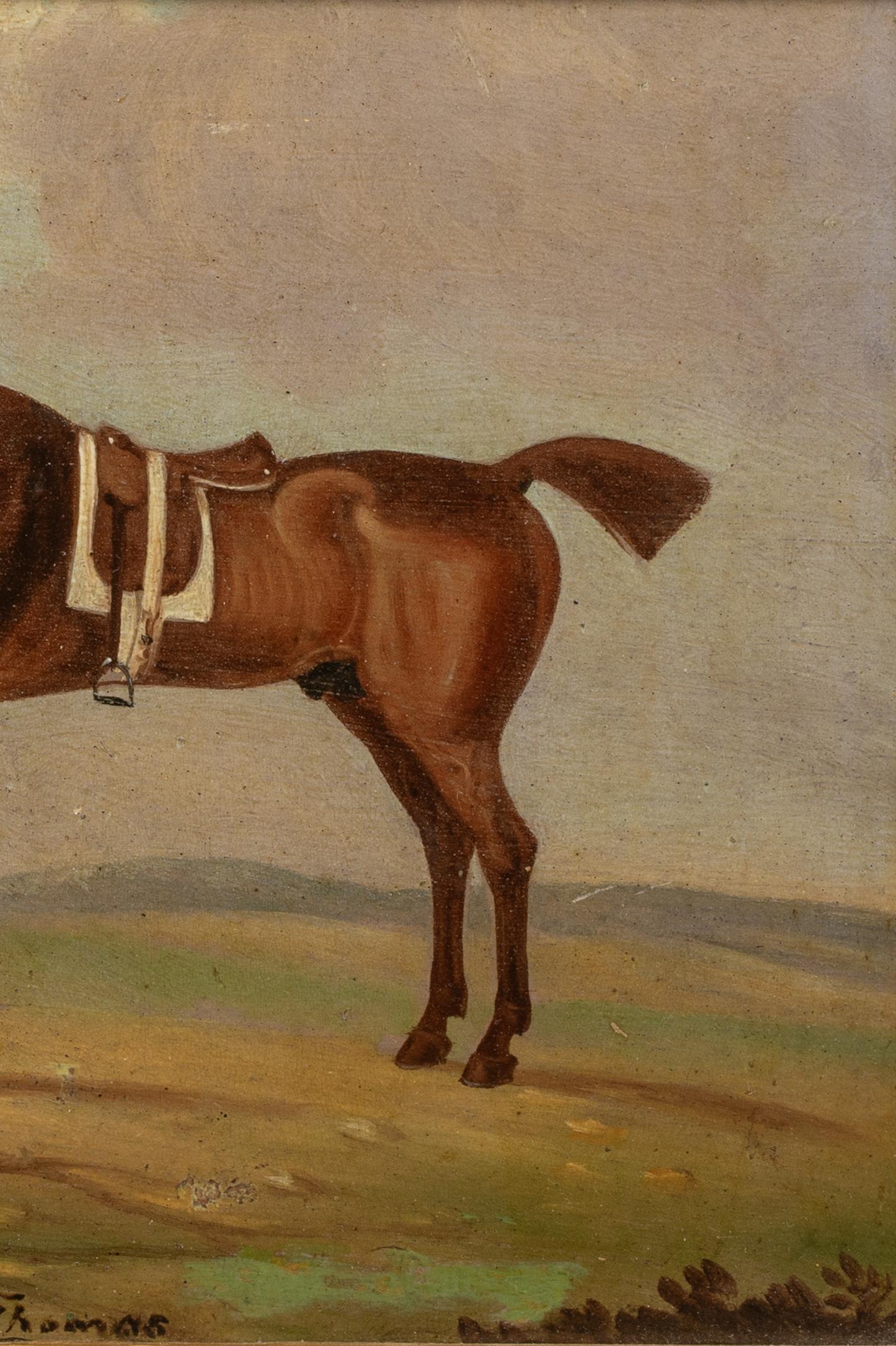 Portrait de Sir Thomas & Groom, 18e siècle 6