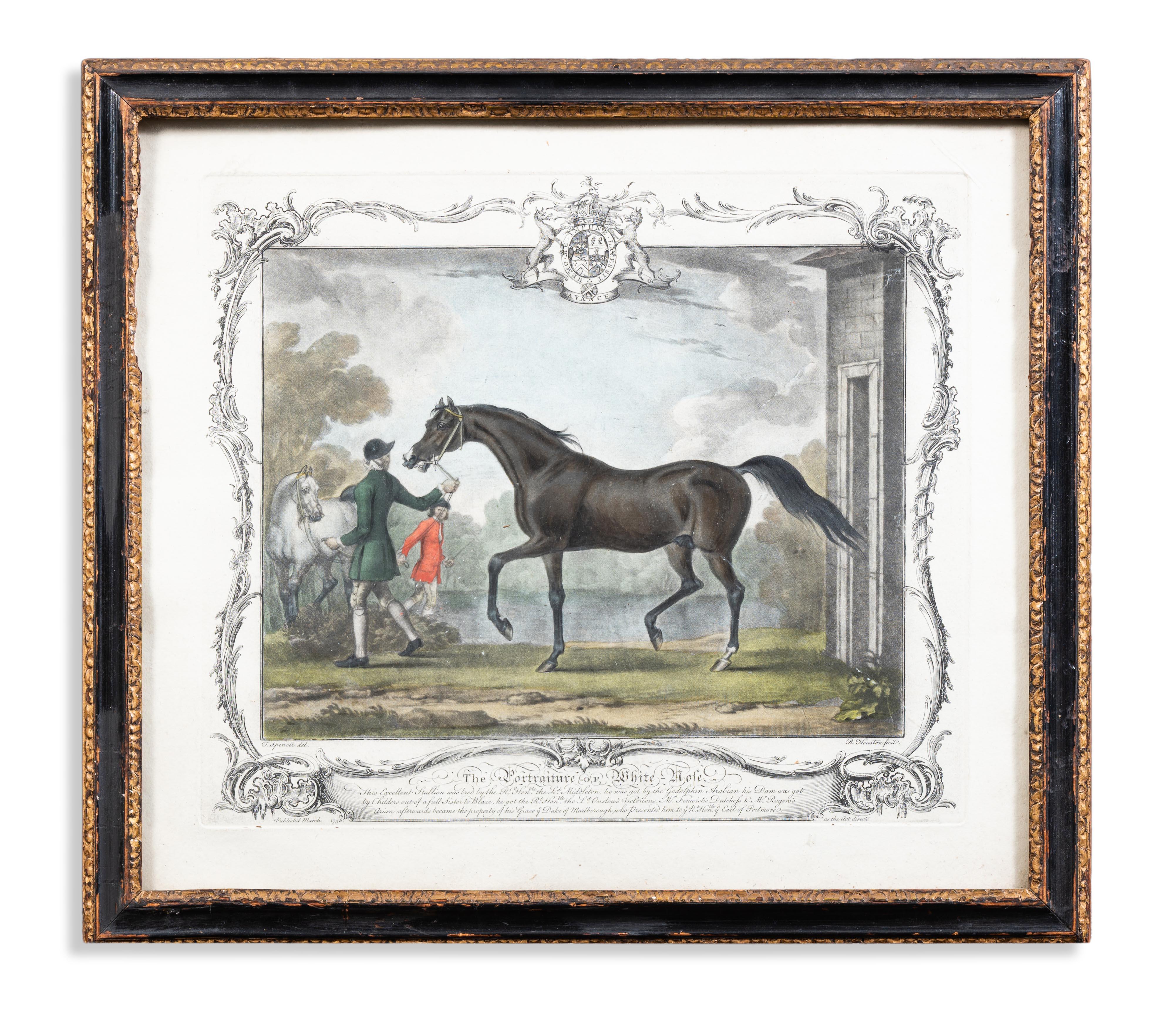 Porträts der berühmten Pferde 'Old Partner' und 'White Nose' (Grau), Animal Print, von James Seymour