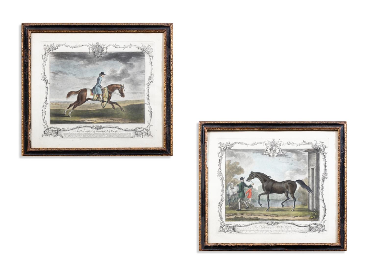 Engraving Animal Paintings