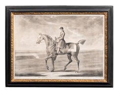 Estrella", caballo de carreras de Su Gracia el Duque de Bridgewater