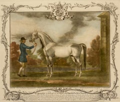 The Portraiture of CRAB late Property of the Right Honble. the Earl of Portmore