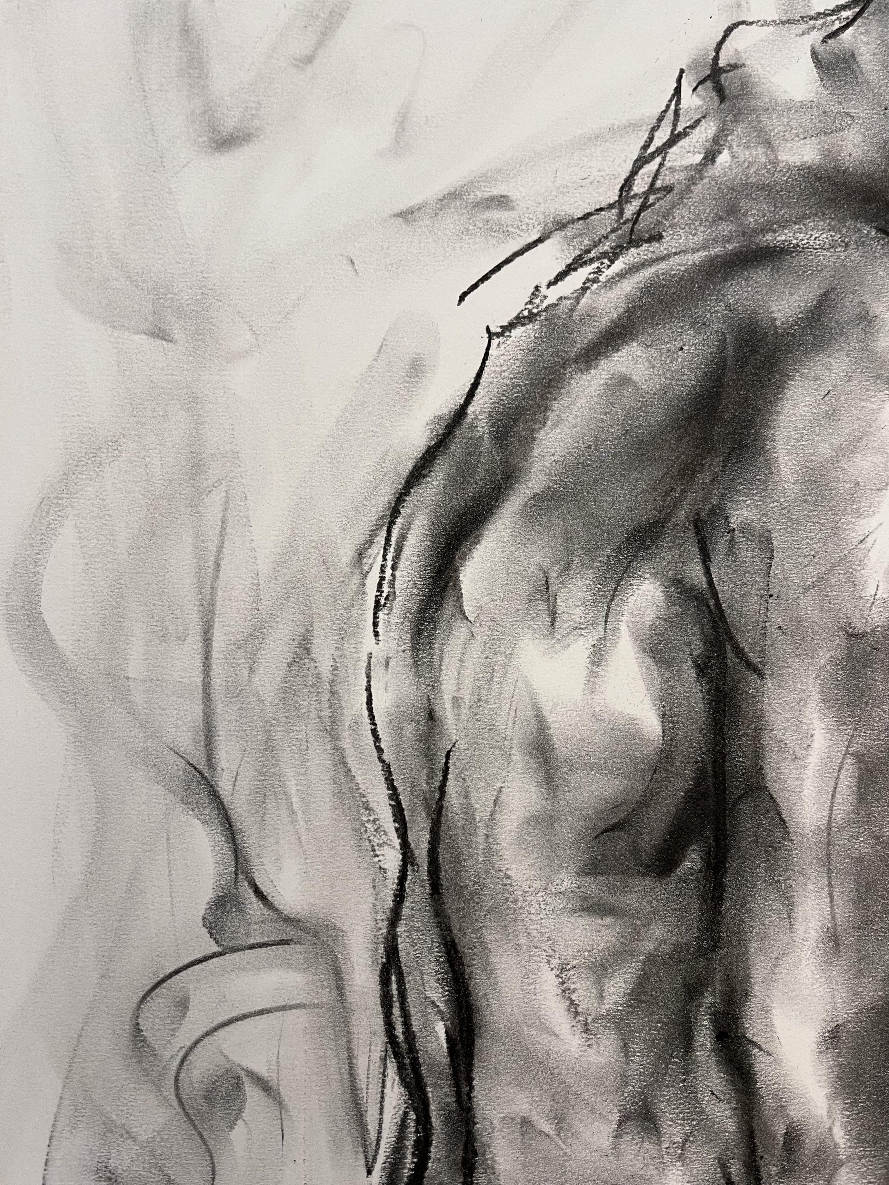 Disegno originale a carboncino su carta di James Shipton  I miei lavori sono fortemente influenzati dalle opere di Degas e Gustav Klimt.    Il mio desiderio è quello di catturare la bellezza della forma umana, ritraendo al contempo l'isolamento