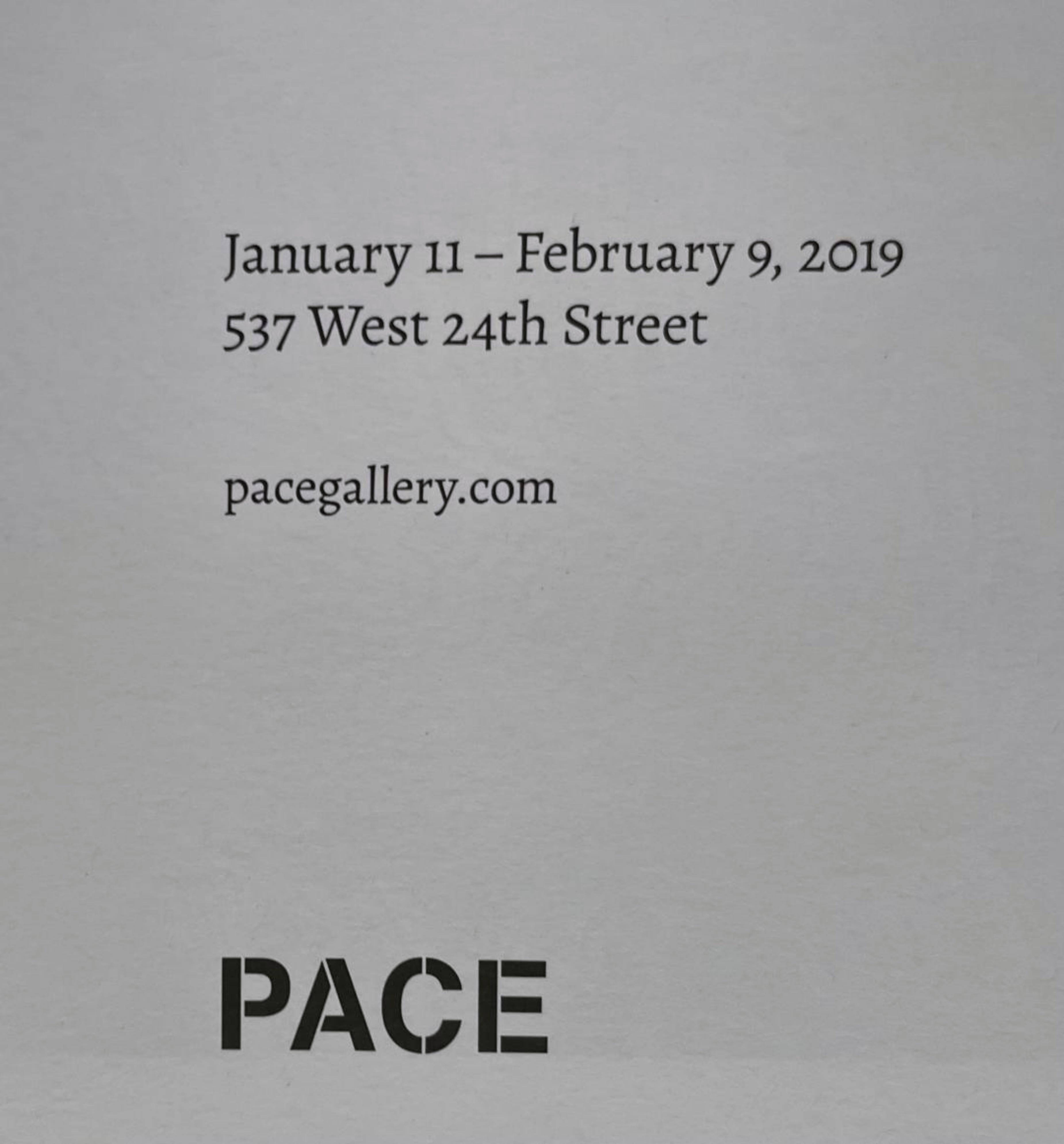 Affiche James SIena at PACE signée à la main par James Siena, abstraction linéaire complexe en vente 2