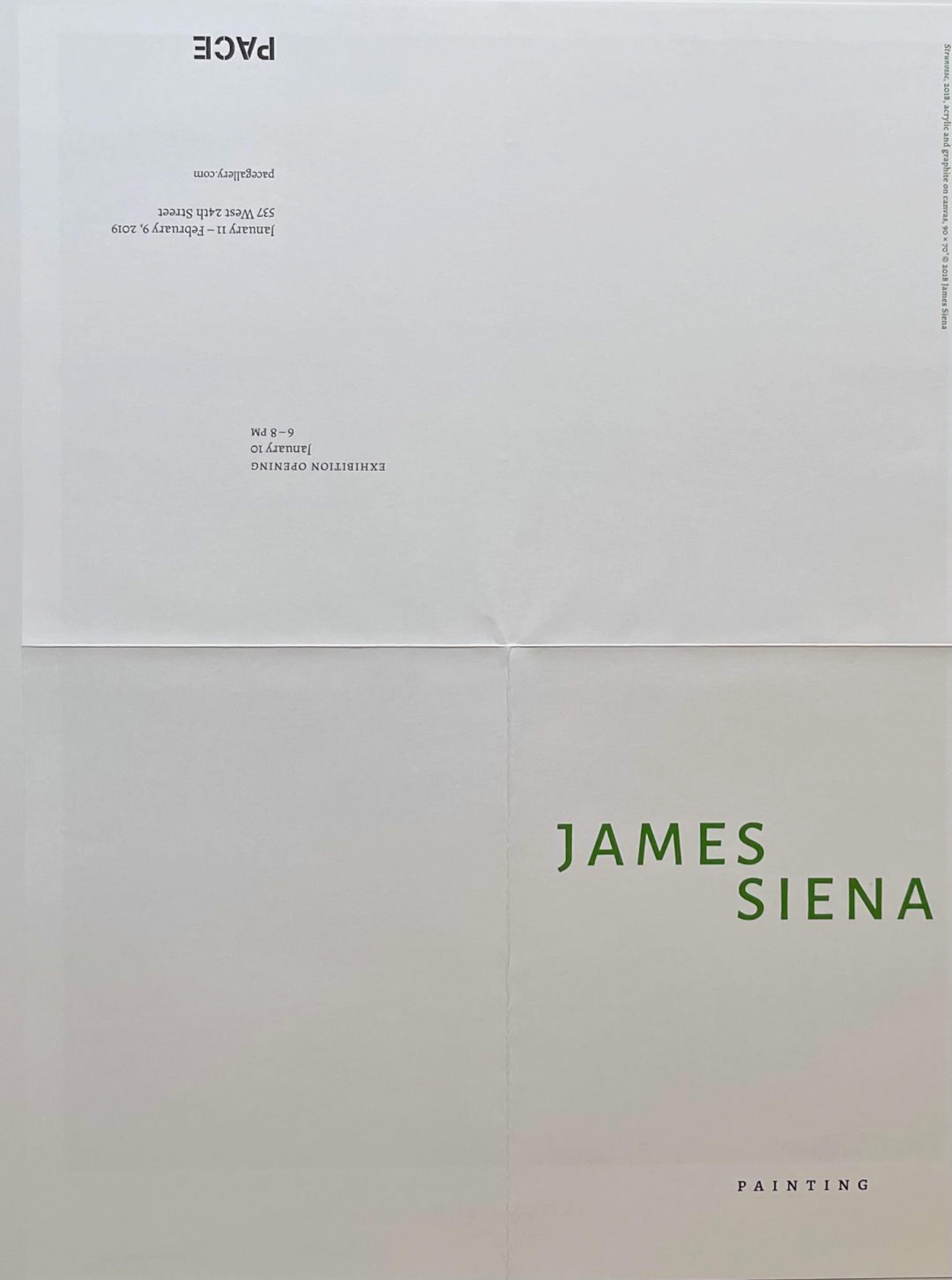James Siena at PACE Gallery, 2019
Offset lithograph exhibition invitation (Hand signed by James Siena)
19 1/2 × 14 1/2 inches
Unframed
This exquisite fold out poster invitation, published by PACE Gallery on the occasion of the James Siena's 2019
