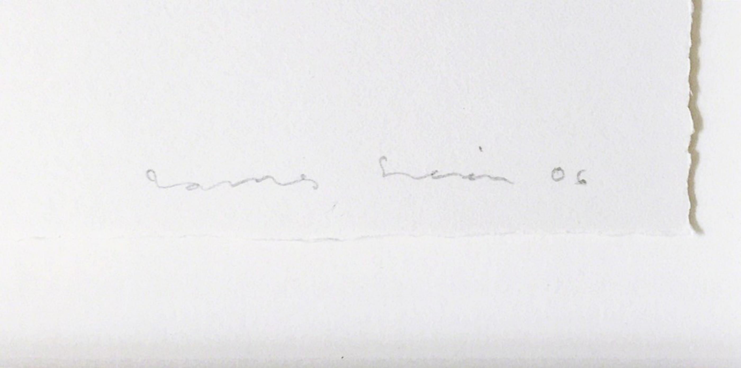 James Siena, astrazione geometrica, stampa natalizia, firmato/N, 8/54 incorniciato in vendita 2