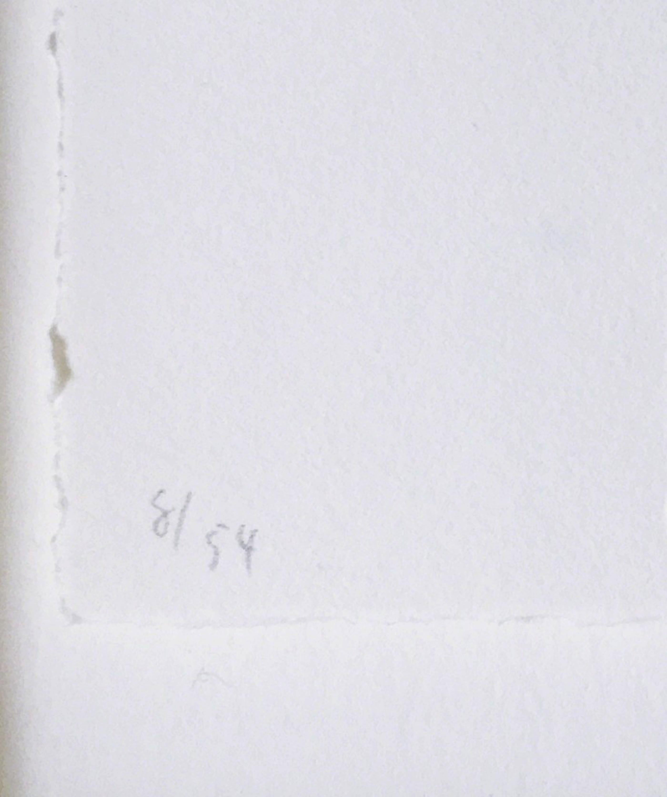 James Siena, astrazione geometrica, stampa natalizia, firmato/N, 8/54 incorniciato in vendita 3