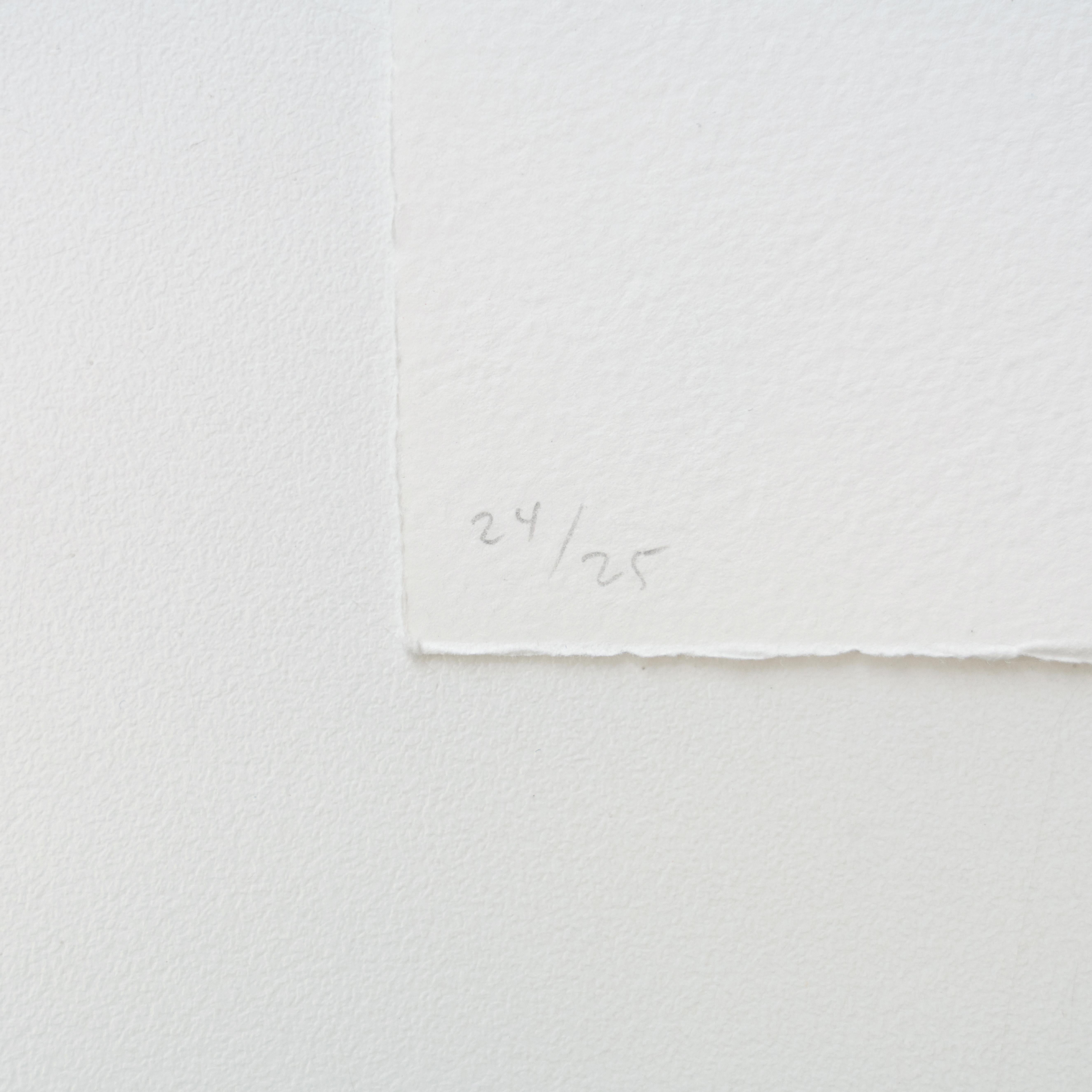 James Siena Blaue Radierung „Fletxes Octogonals Decreixents“, 2011 (Papier) im Angebot