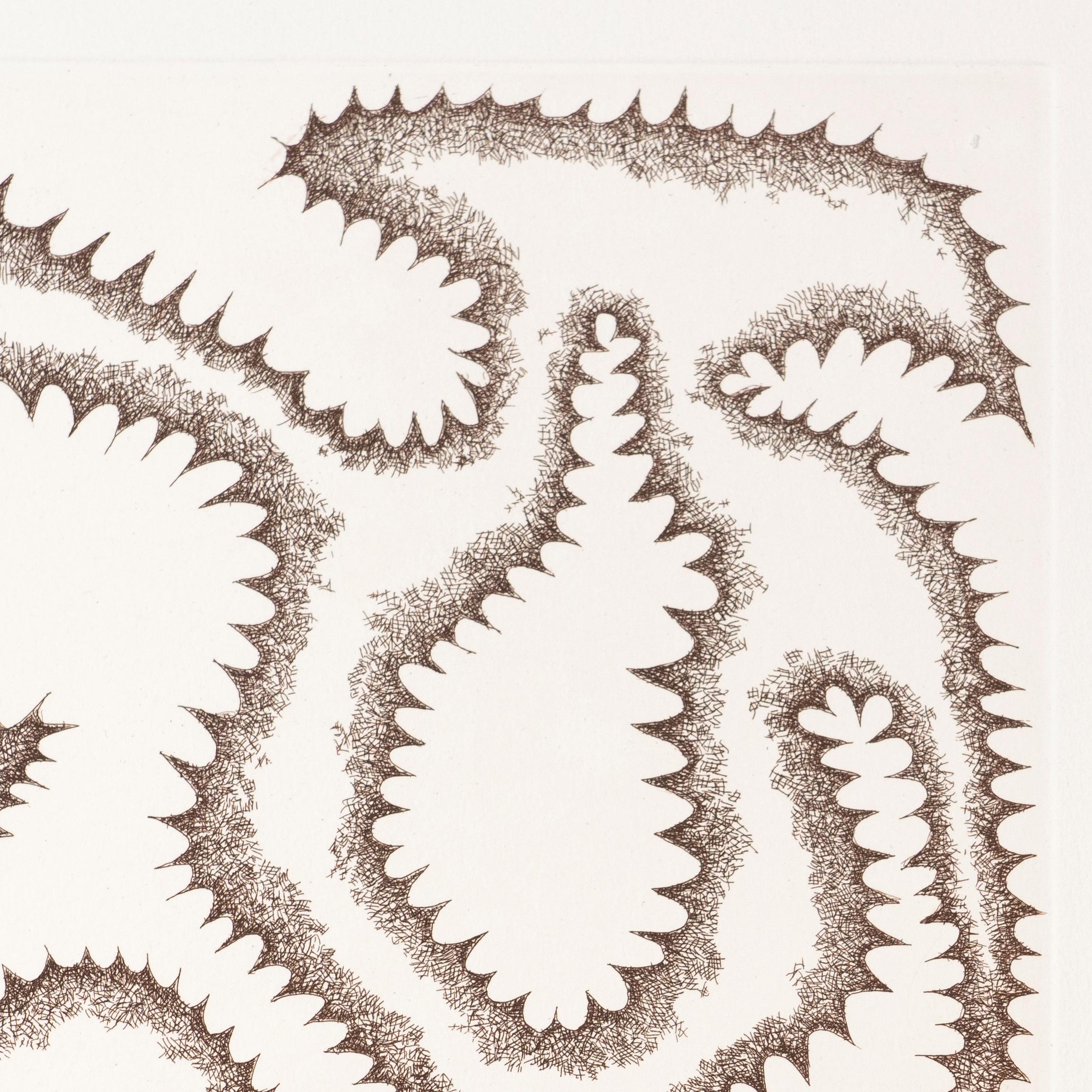 Modern James Siena Etching 'Forma Enfadada Amb Dents', 2011 For Sale