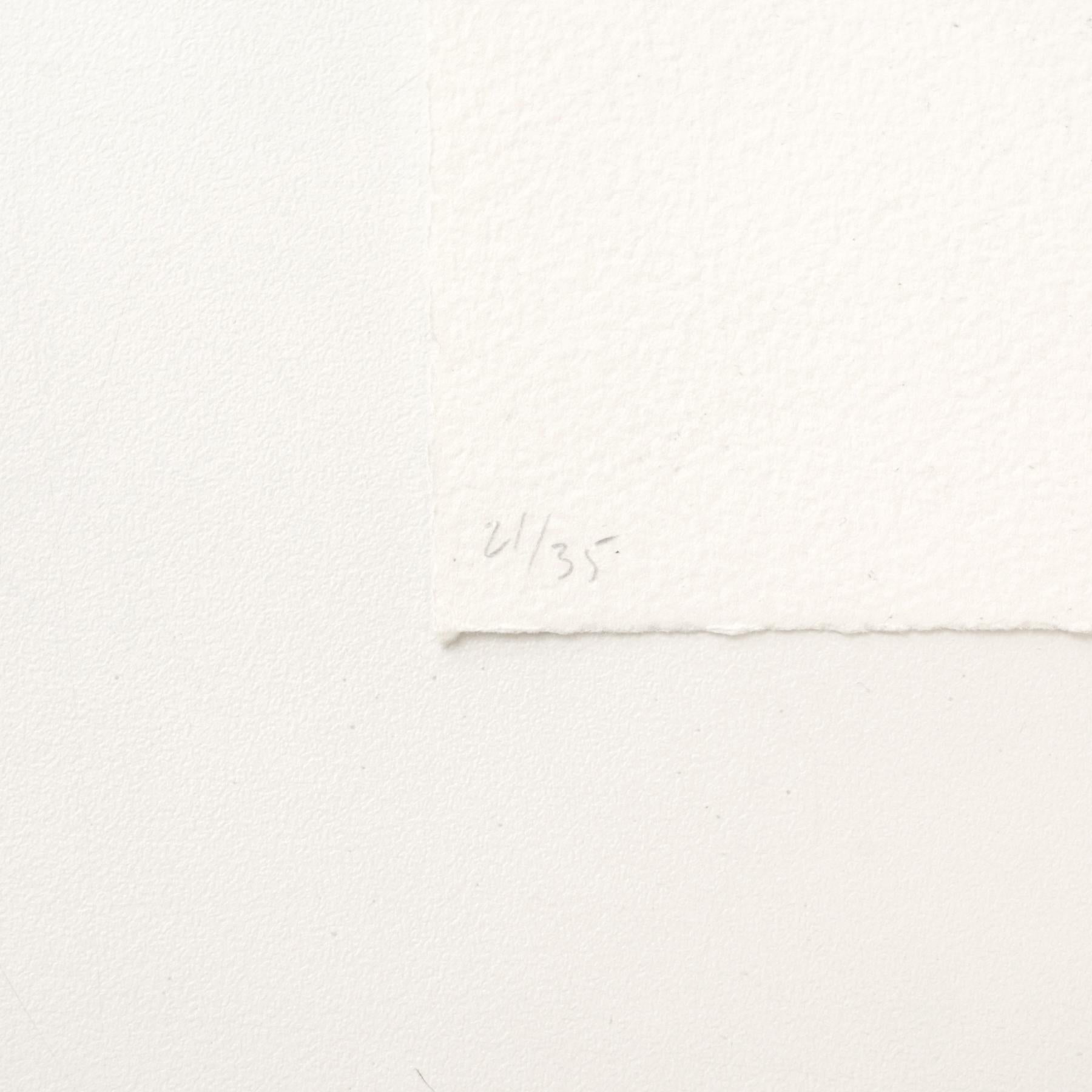 Paper James Siena Etching 'Forma Enfadada Amb Dents', 2011 For Sale