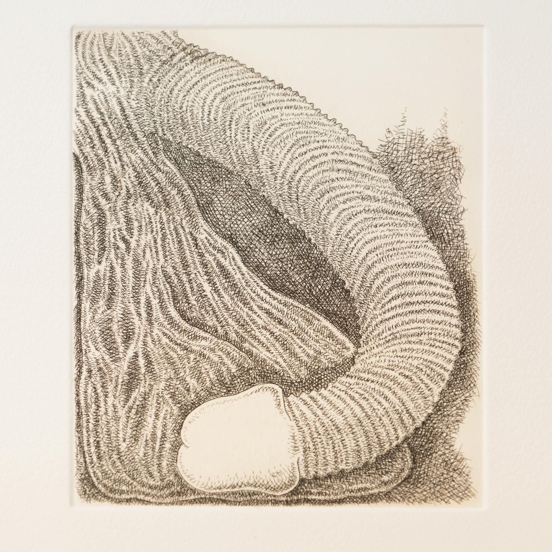 James Siena etching made 'Membre'. 

Made in Spain, circa 2011.

Unique edition, 1/1

Hand signed.

About the artist:
Responding to a set of parameters, what the artist calls “visual algorithms,” and following them to their conclusion,