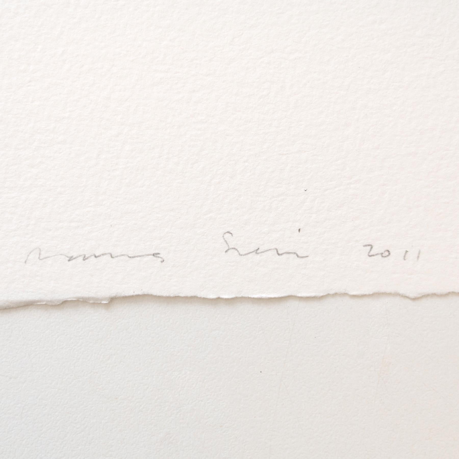 Contemporary James Siena Etching 'Membre', 2011 For Sale